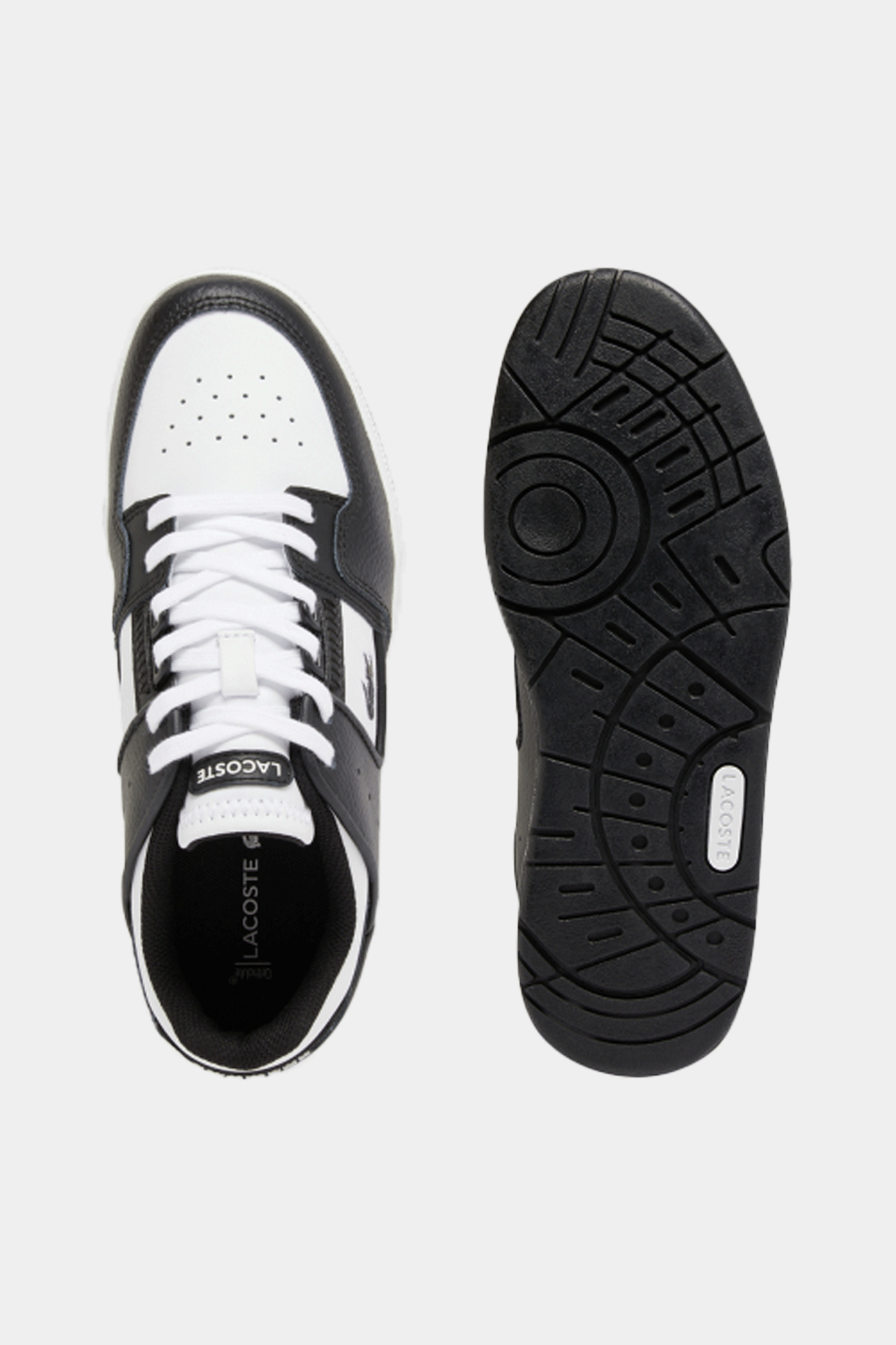 Lacoste - Court Cage 224 1 SFA