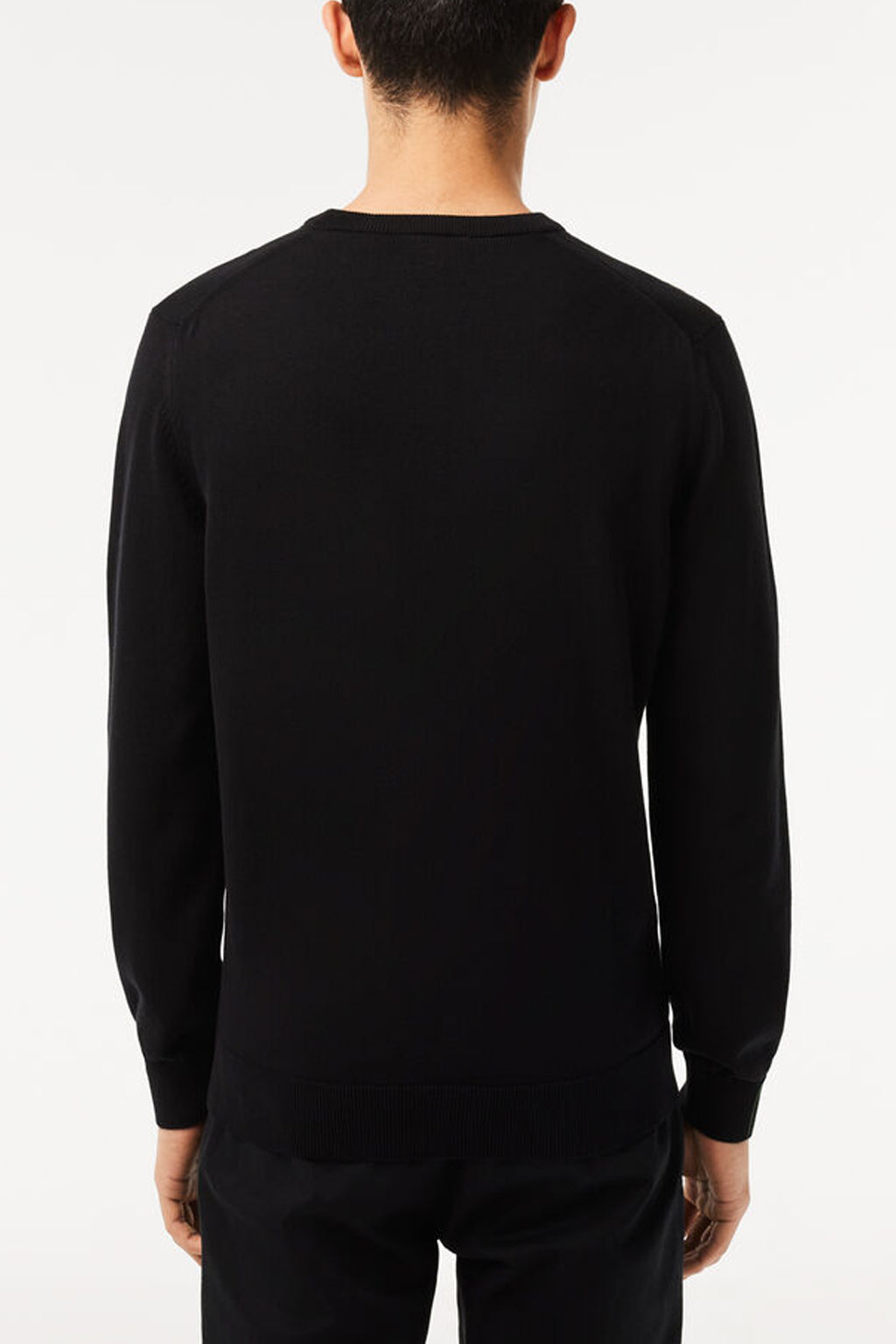 Lacoste - Organic Cotton Crew Neck Sweater